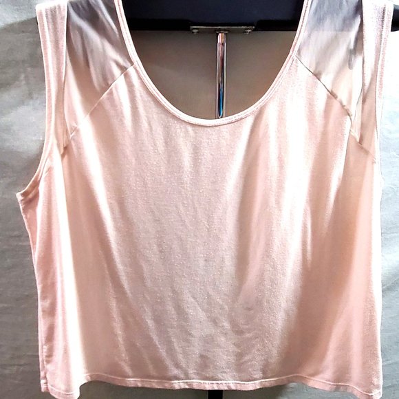 Light Peach Short Sleeve Crop Top with sheer Mesh Insets (2X) - Picture 11 of 12